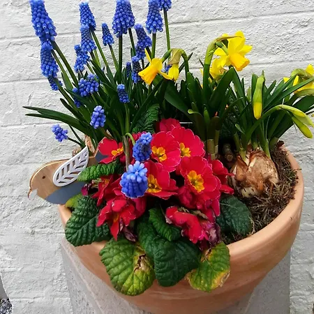 La Beausejour Hébergement de vacances