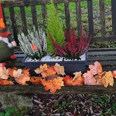 Hébergement de vacances La Beausejour Baives