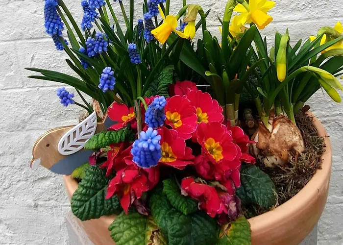 La Beausejour Дом отдыха