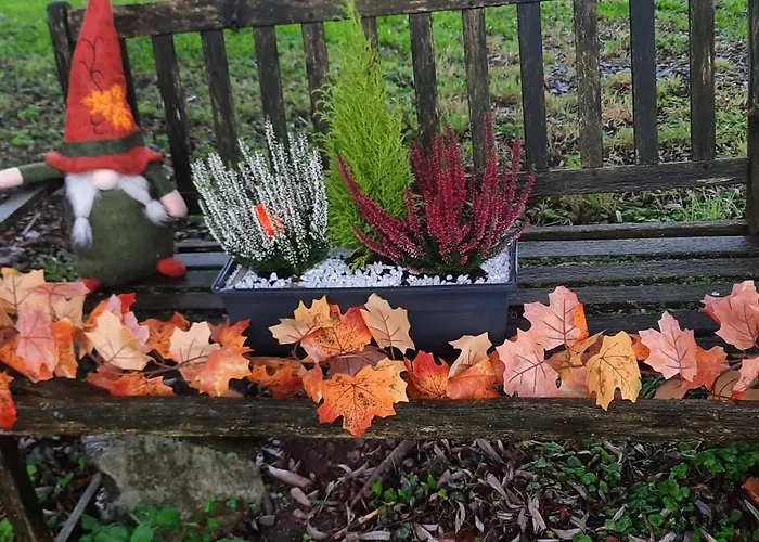 Дом отдыха La Beausejour Baives